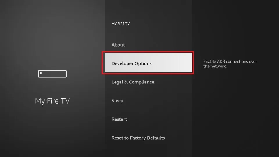Step 3: Choose Developer Options